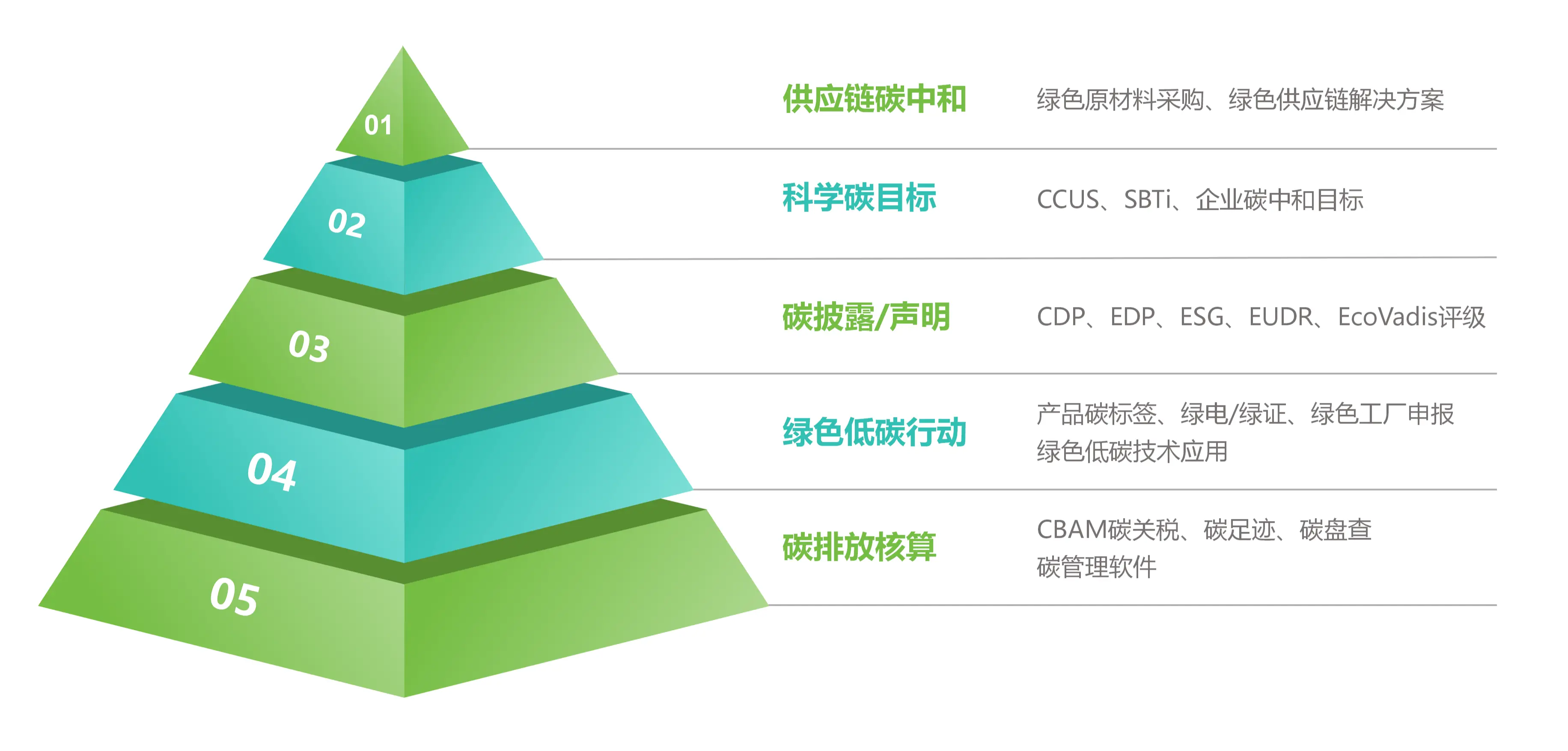 践行碳达峰，实现碳中和