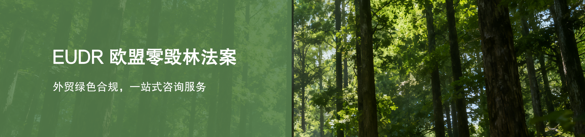 EUDR的banner页.png
