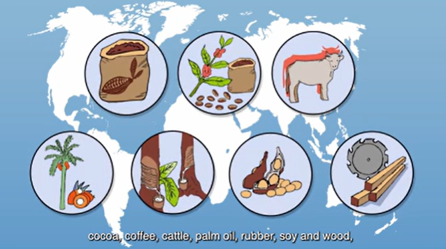 《欧盟零毁林法案》EUDR覆盖产品范围（清单）